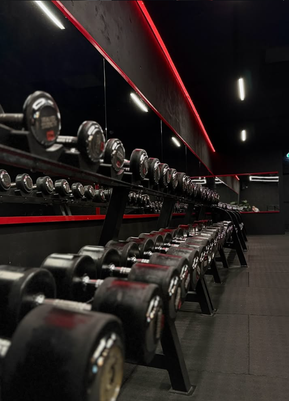 Sfeerbeeld Fitness Factory Assen 3